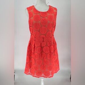 Altar'd State-Orange Sunflower Lace-Fit & Flare Lined Knee Length Dress-Sz L